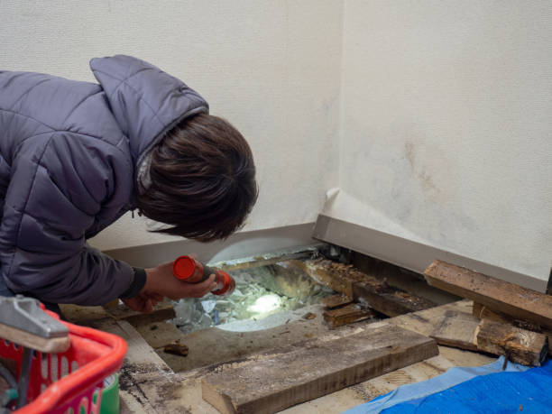 Best Crawl Space Mold Remediation  in Holiday Heights, NJ