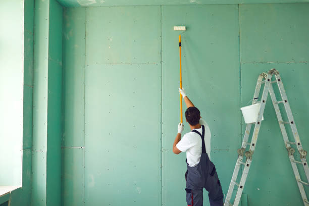 Best Mold Odor Removal Services  in Holiday Heights, NJ