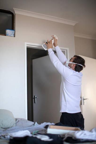 Best Mold Remediation for Rental Properties  in Holiday Heights, NJ