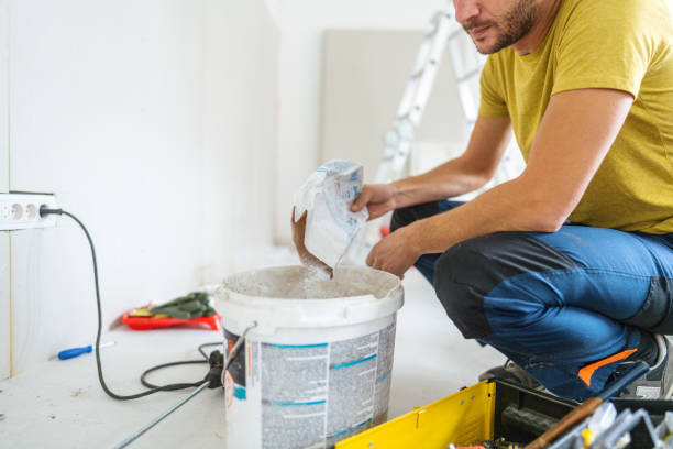 Professional Mold Removal in Holiday Heights, NJ