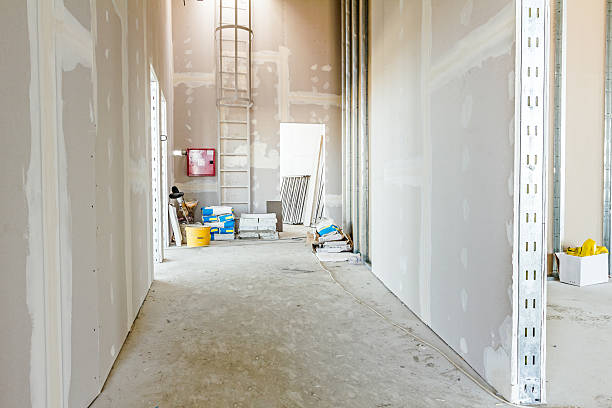 Best Emergency Mold Remediation  in Holiday Heights, NJ